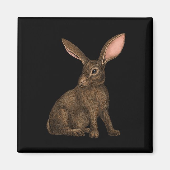 Kanin 4 magnet (Framsidan)