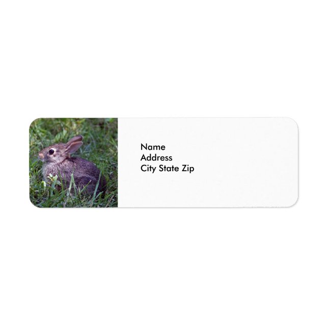 Kanin 8603 returadress etikett (Framsidan)