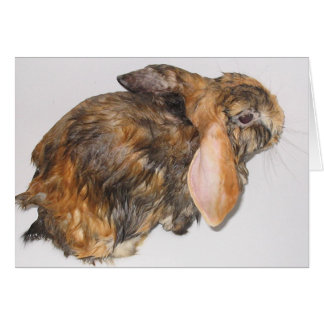 Kanin Bathtime Hälsningskort