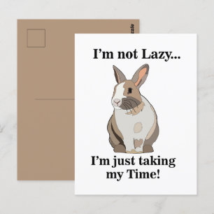 Kanin Bunny Söt Rolig Vykort