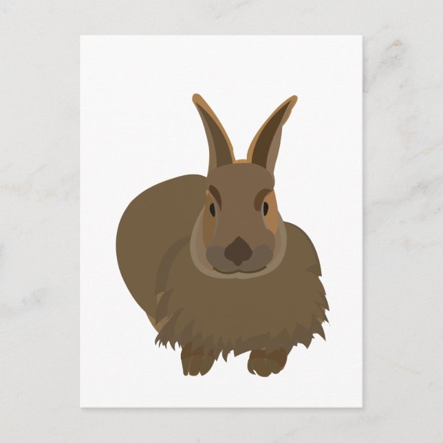 Kanin Bunny  Vykort (Framsida)