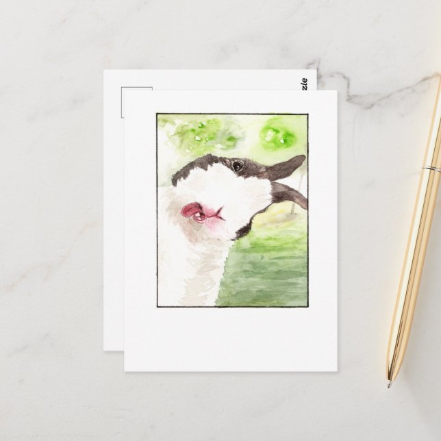 Kanin Djur Selfie - DNM Postkort Vykort (Fram/Back In Situ)