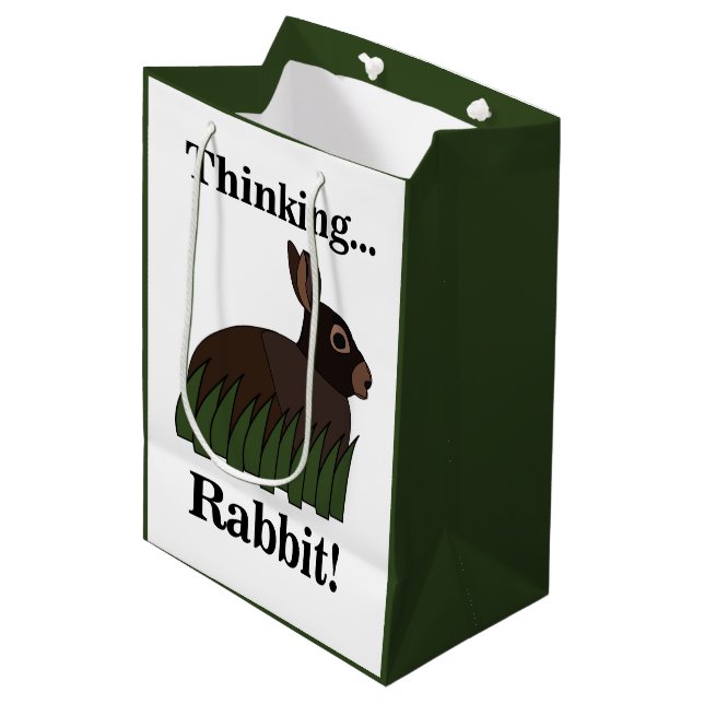 Kanin Djur Söt Bunny (Framsidan Vinklad)