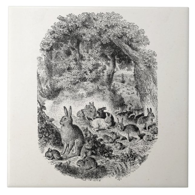 Kanin för kaniner för 1800s för kakelplatta (Framsidan)