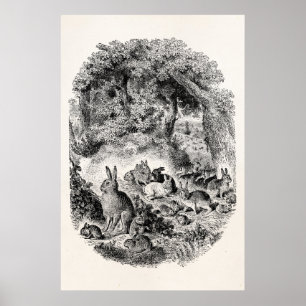 Kanin för kaniner för 1800s för poster