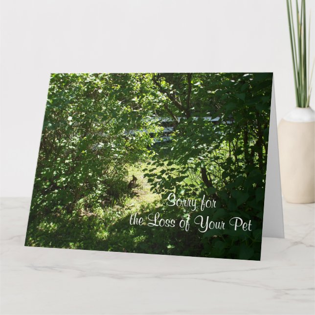 Kanin- Förlust av ett sällskapsdjur Kort (Framsida)