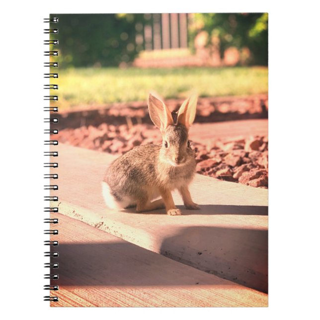 kanin foto påsk vår anteckningsbok (Framsidan)
