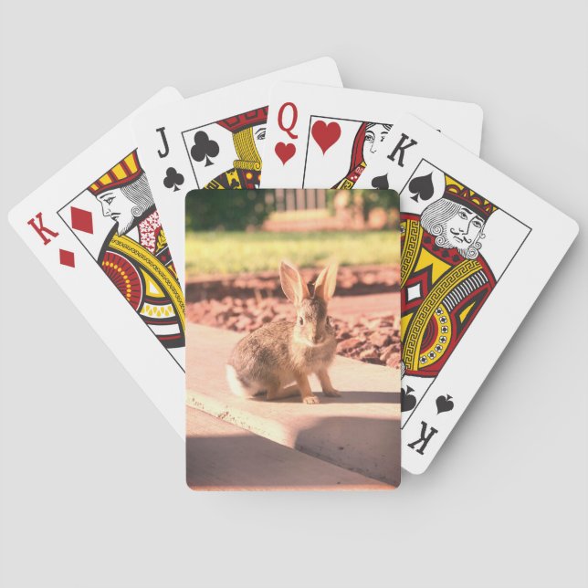 kanin foto påsk vår casinokort (Baksidan)