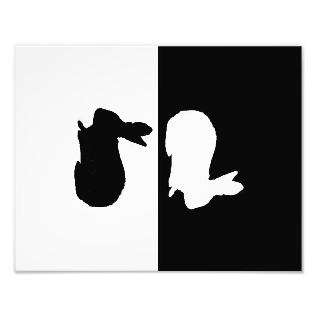 kanin fototryck (Framsidan)