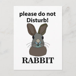 Kanin, gör inte skillnad på rabbit vykort