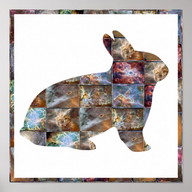 KANIN: Grafikdesign Poster (Framsidan)