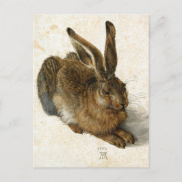 Kanin, Hare av Durer Vintage Naturkonst, 1502 Vykort