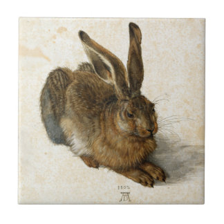 Kanin, Hare by Durer Vintage Nature Art från 1502 Kakelplatta