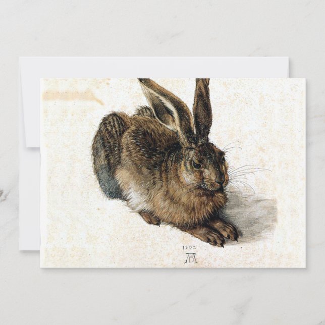 Kanin Hare i Snö - Durand (Framsida)