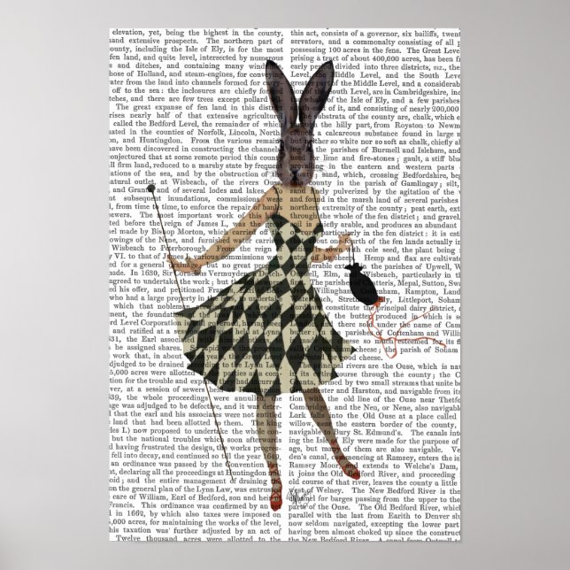 Kanin i Black White Dress Poster (Framsidan)