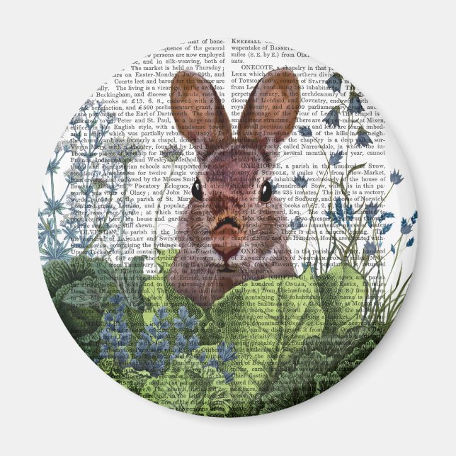 Kanin i ett kaninplåster magnet (Framsidan)