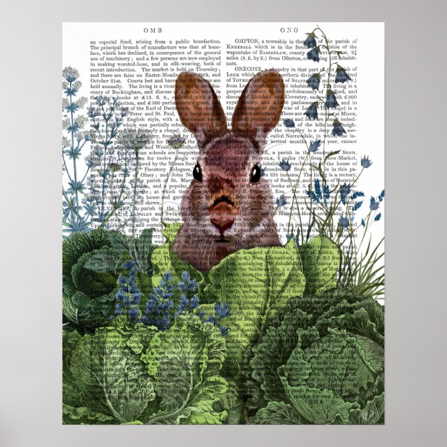 Kanin i ett kaninplåster poster (Framsidan)