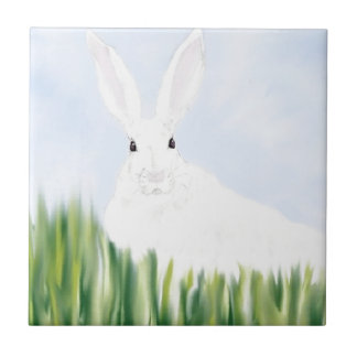 KANIN I FÄLT KAKELPLATTA