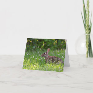 Kanin i klöver blankt i notecard. tack kort