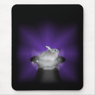 Kanin i Magic Hat Musmatta