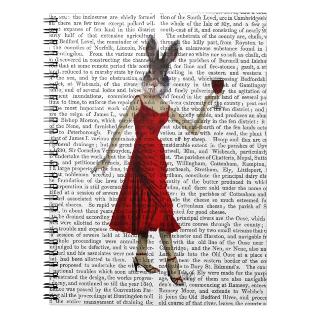 Kanin i Red Dress Anteckningsbok Med Spiral (Framsidan)