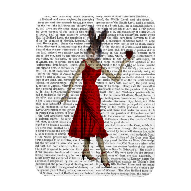 Kanin i Red Dress Magnet (Vertikal)