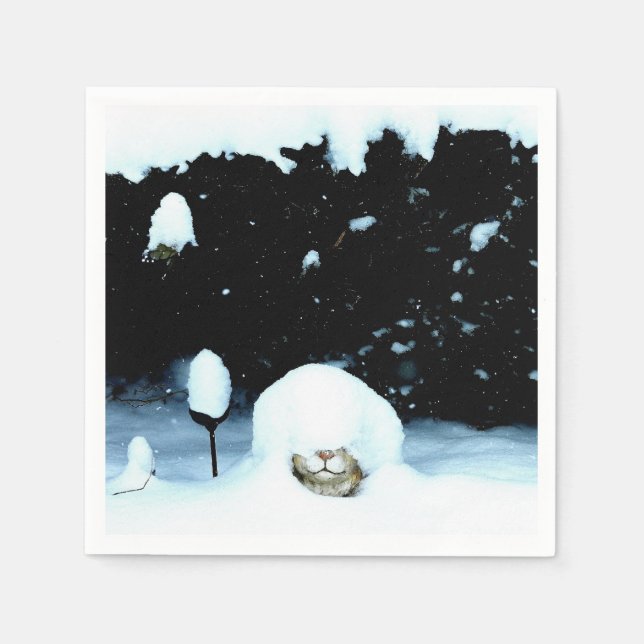 KANIN I SNÖ PAPPERSSERVETT (Framsidan)