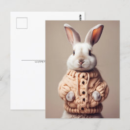 Kanin i tröja, Postcrossing Postkort Vykort