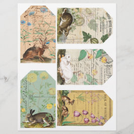 Kanin Journalföring Etiketter Collage Ark