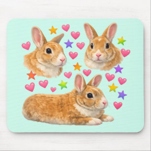 kanin kanin kawaii söt regnbåge husdjur mamma musmatta