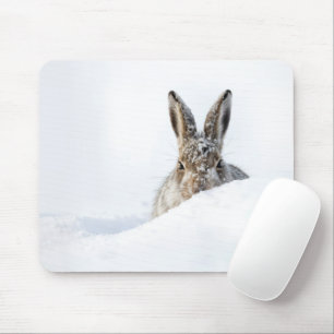 Kanin kikande över en snödriva musmatta