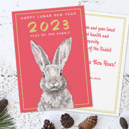 Kanin Kinesiskt nyår 2023 Bunny Animal art Red Julkort