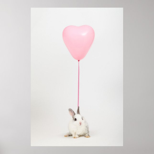 Kanin med Rosa Balloon Poster (Framsidan)