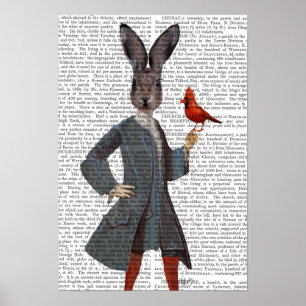Kanin och Bird Poster