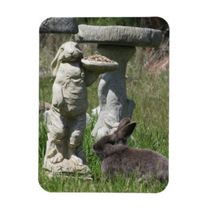 Kanin- och Bunny-statyett Fågelmatning Magnet