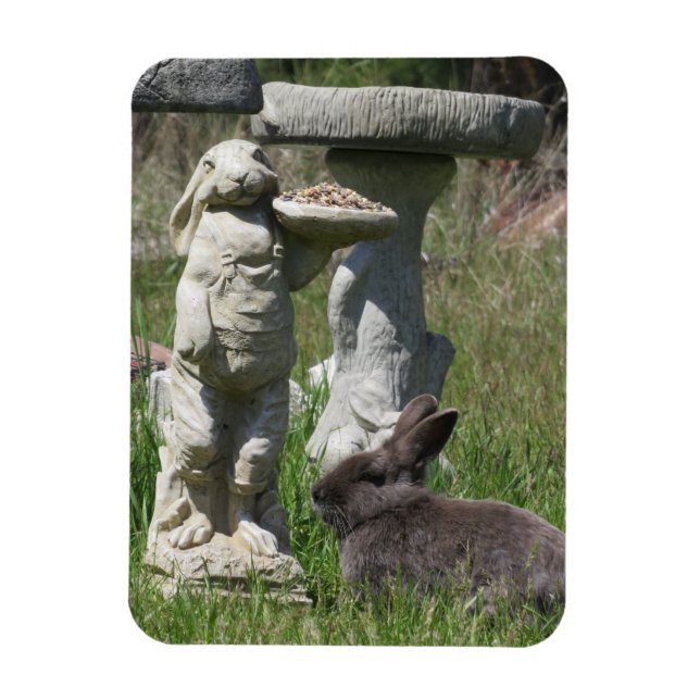 Kanin- och Bunny-statyett Fågelmatning Magnet (Vertikal)