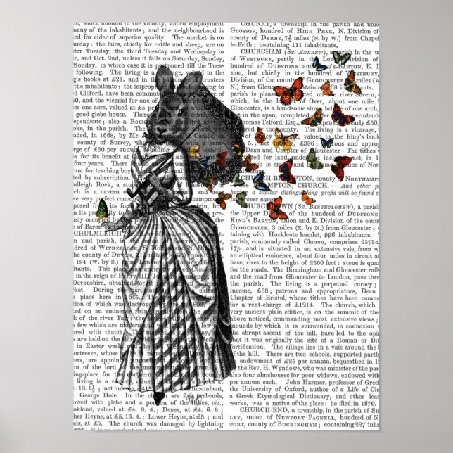 Kanin och Butterfly Parasol Poster (Framsidan)