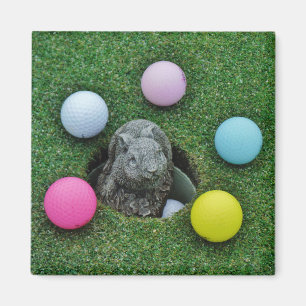 Kanin och färgad Golf Bollar Magnet