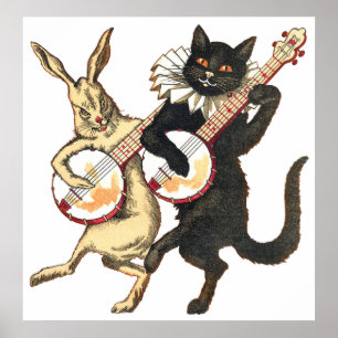 Kanin och katt Poster