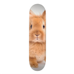 Kanin Old School Skateboard Bräda 21,6 Cm