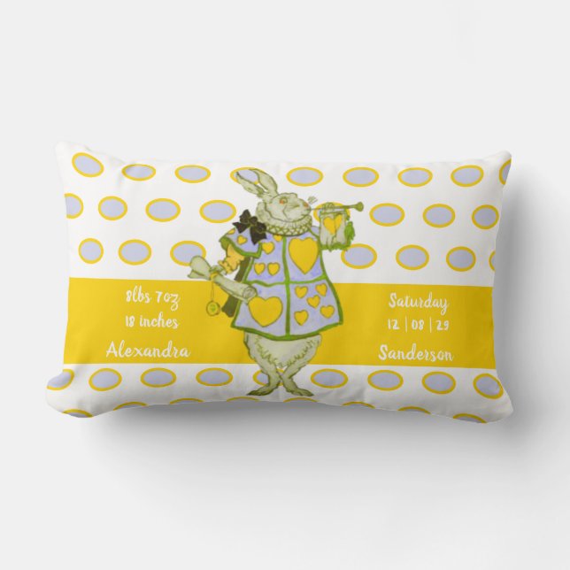 Kanin Polka Dot Grått Teal Blue Baby Stats Lumbarkudde (Framsida)