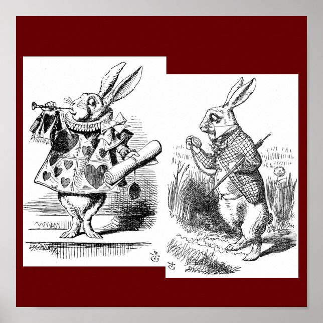 Kanin Poster (Framsidan)