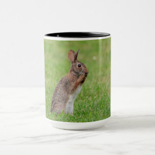 Kanin som står i gräset och tittar blyg mugg
