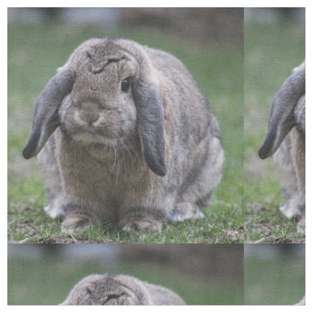 kanin tyg (Närbild)