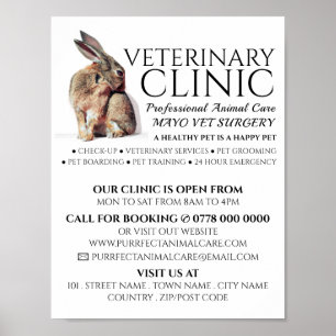 Kanin, veterinär, veterinär, veterinär, Advert Poster