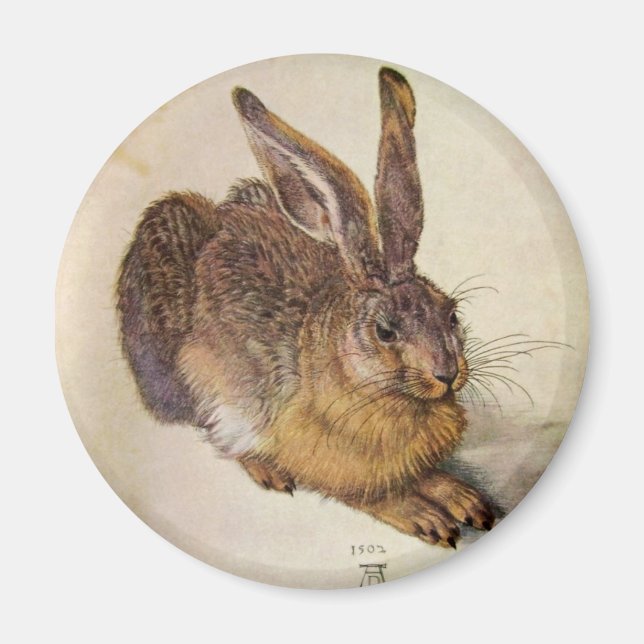 KANIN ( Young Hare ) Magnet (Framsidan)
