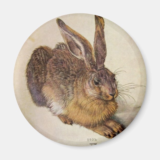 KANIN ( Young Hare ) Magnet (Framsidan)