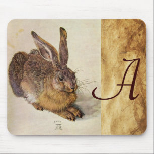 KANIN ( Young Hare ) Musmatta