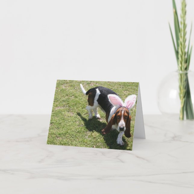 KaninBassett Helgkort (Framsida)