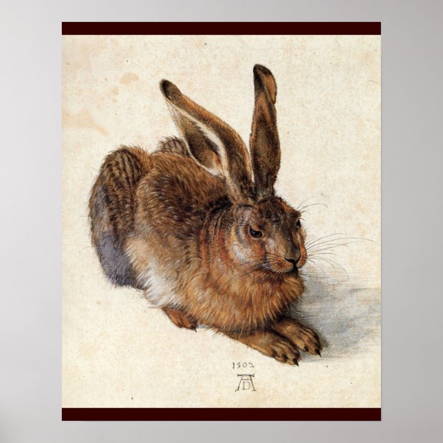 KANINEN ( Ung hare ) Poster (Framsidan)